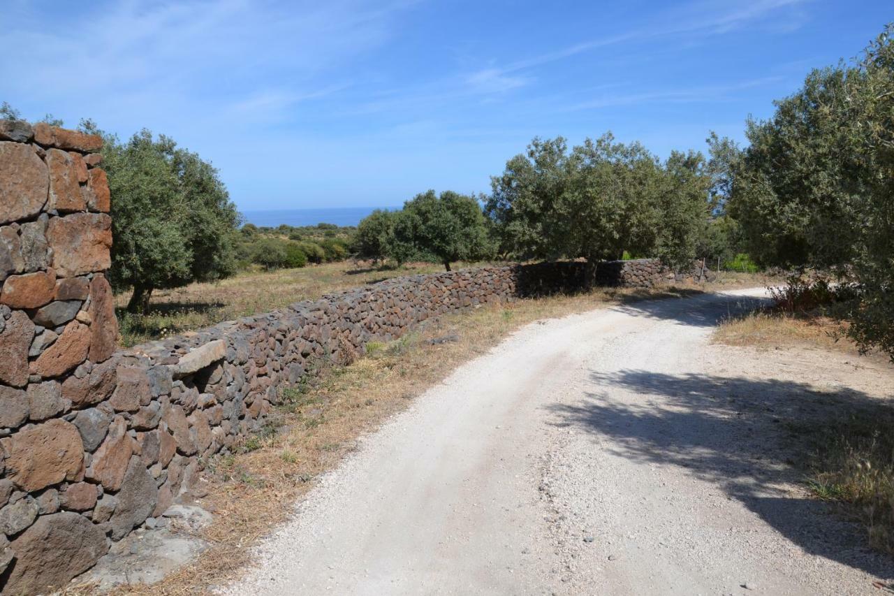 Casa Indipendente Immersa Nel Verde Con Vista Mare Dorgali Zewnętrze zdjęcie