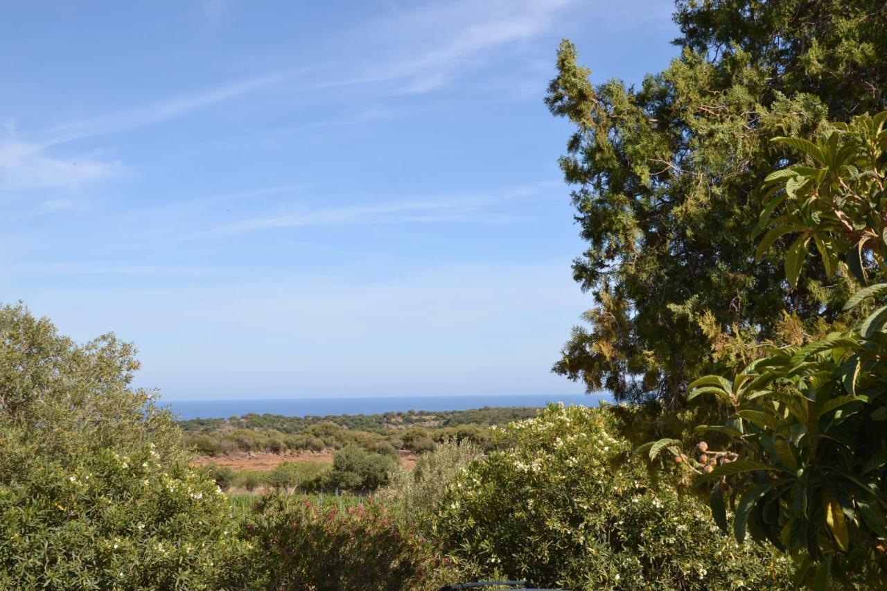 Casa Indipendente Immersa Nel Verde Con Vista Mare Dorgali Zewnętrze zdjęcie